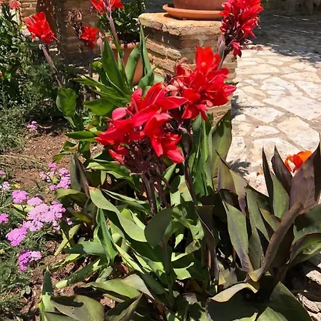 Mini-hôtel Apelati Keri